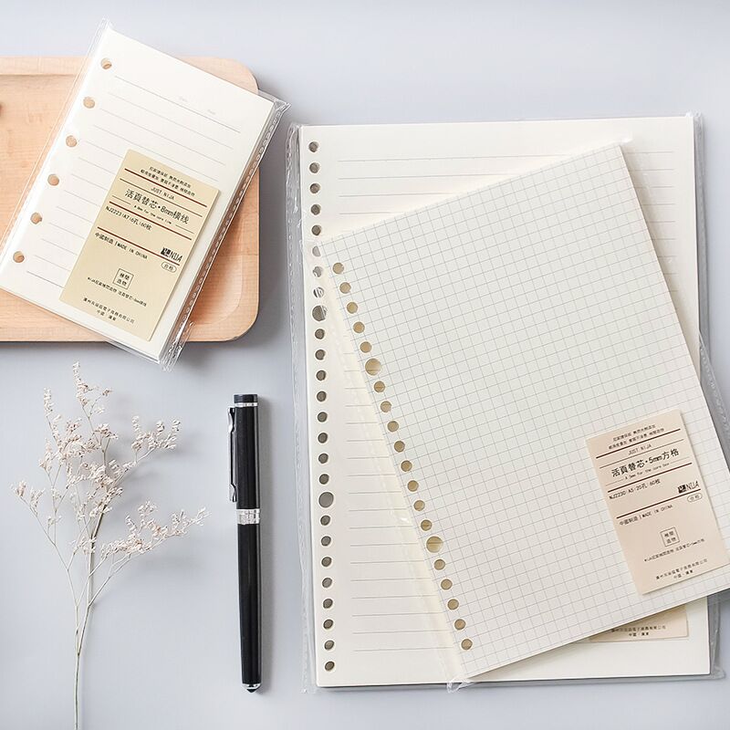 A5 B5 20Holes Loose-Leaf Noteb - A5 Spiral Dotted Grid Notebook recension och pris
