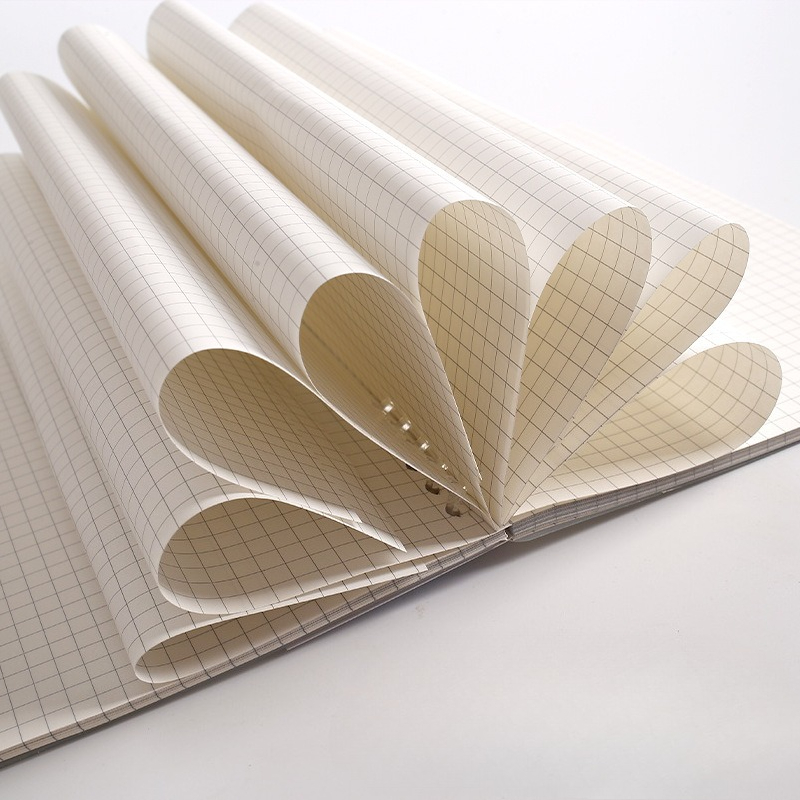 A4 B5 A5 Loose Leaf Notebook R - A5 Spiral Dotted Grid Notebook recension och pris